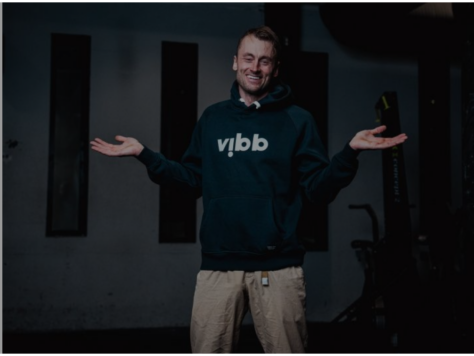 Vibb Light